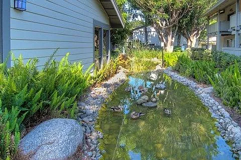 Brooklake — Photo 17