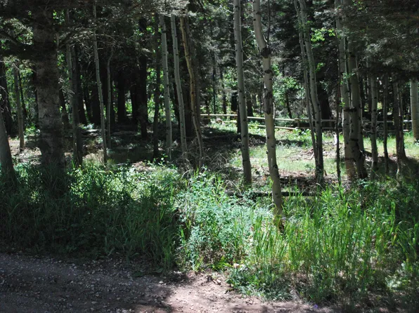 Aspen Rd Lot 32, La Veta, CO 81055