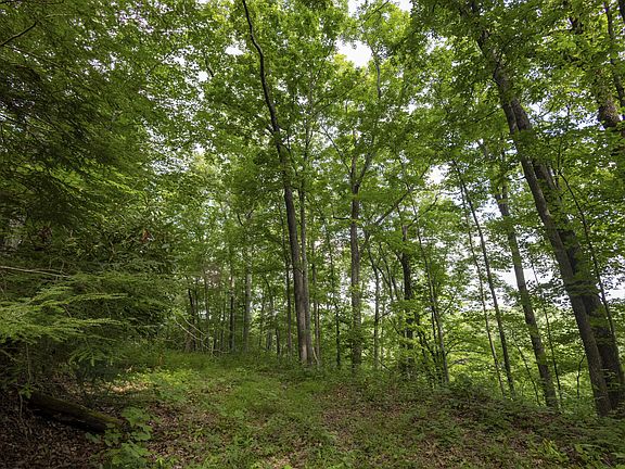 4th image of LOT 131 133 Highland Hts