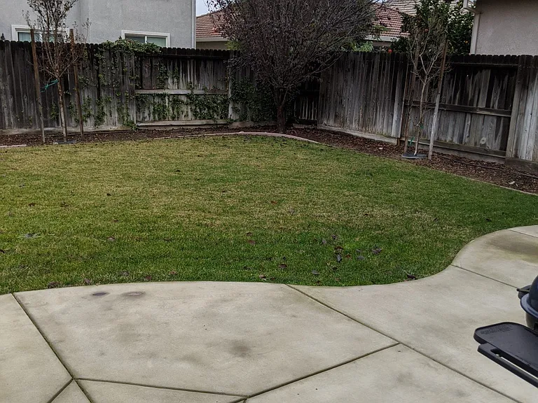 493 Beckman Way — Photo 27