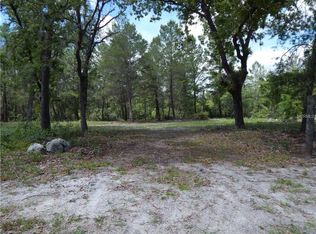 42315 Pine Valley Dr, Paisley, FL 32767