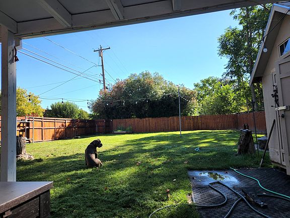 Back yard