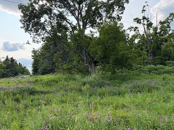 5th image of 17980 Hayes Rd