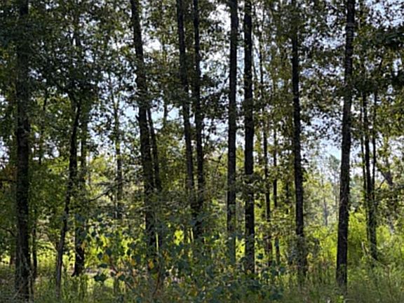 4th image of R 2 155685 Miles Rd