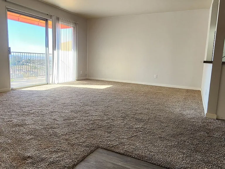 31932 Del Cielo Este — Photo 6