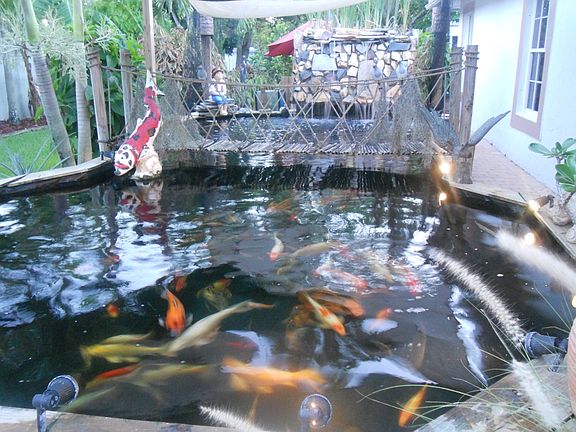 Koi pond could be Sodded