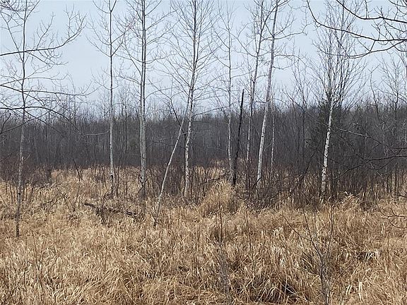 3rd image of ON Shauger Road