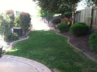 Backyard_04152013