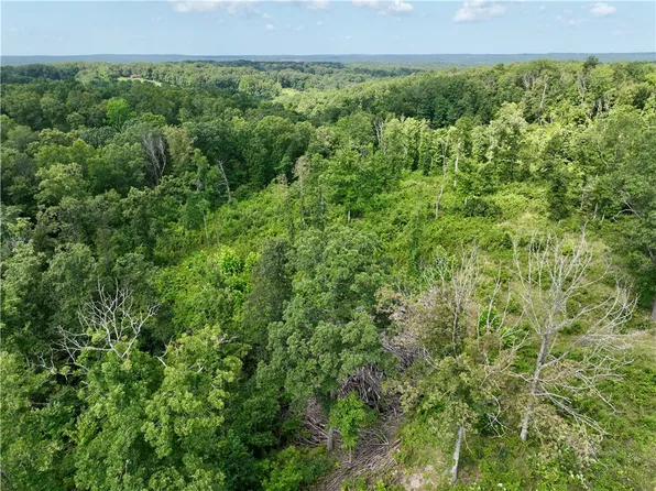 Songbird Rd, Powell, MO 65730