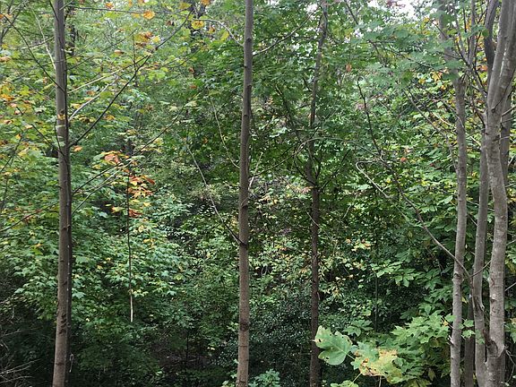 2nd image of Arbor On Lake James #132