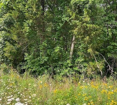 5th image of Wild Turkey Dr