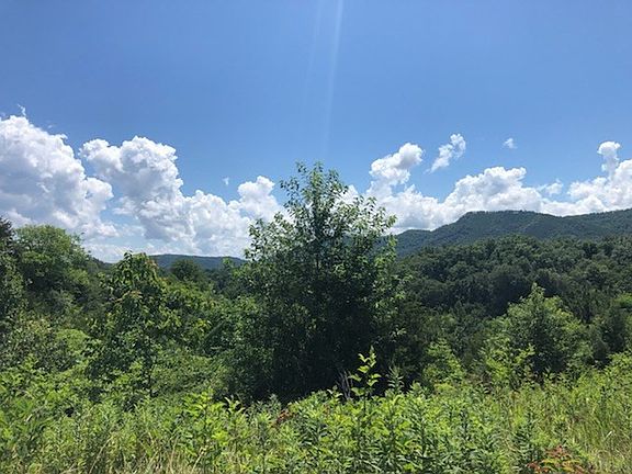 3rd image of 0 McCarter Hollow Rd