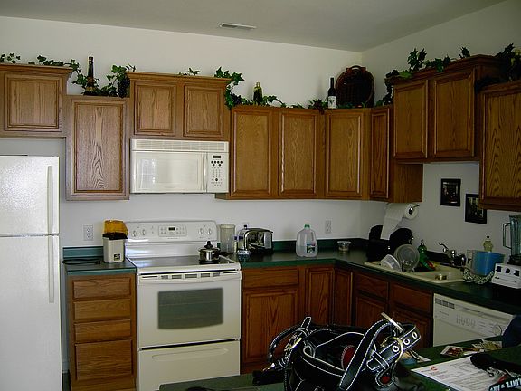 Large Open Concept Kitchen