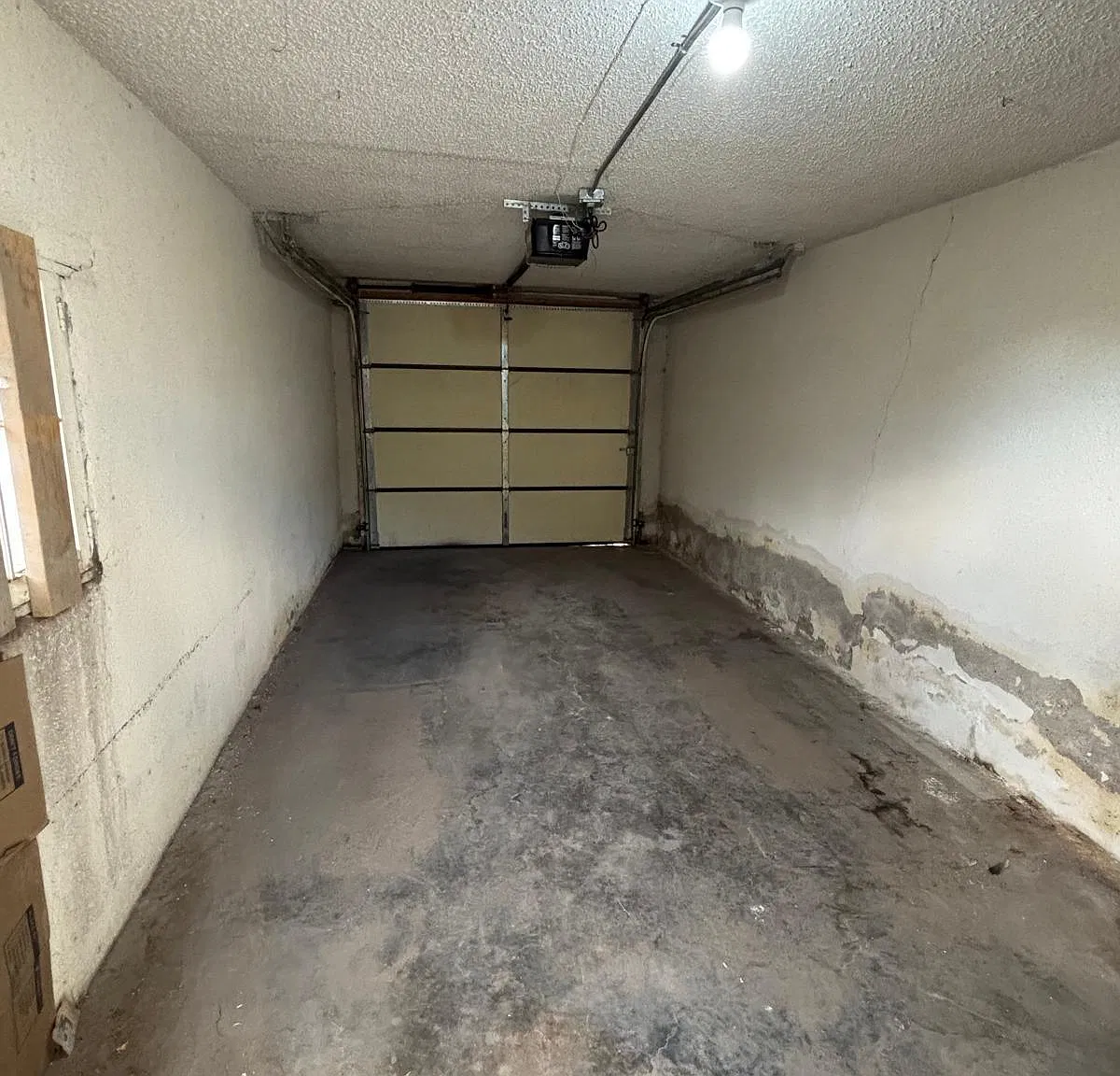 1 bed, 1.0 bath, 500 sqft, $1,000 — Photo 4