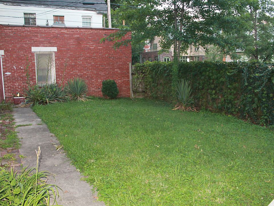 Shared Back Yard