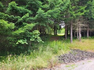 7520 152nd Ln SE, Tenino, WA 98589