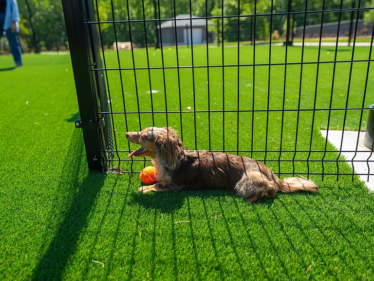 LANA at Lake Norman — Photo 21