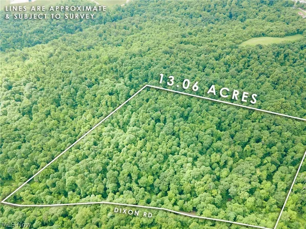 Dixon Rd, Belmont, OH 43718
