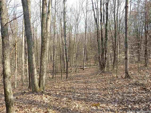 2nd image of 46 Dubois Rd