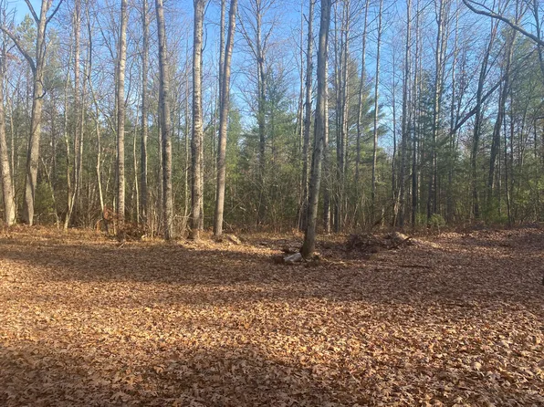 1521 W Home St, Baldwin, MI 49304