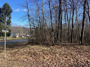 47652 Tomahawk Dr, Negley, OH 44441
