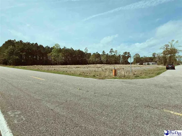 3 Highway 366, Loris, SC 29569