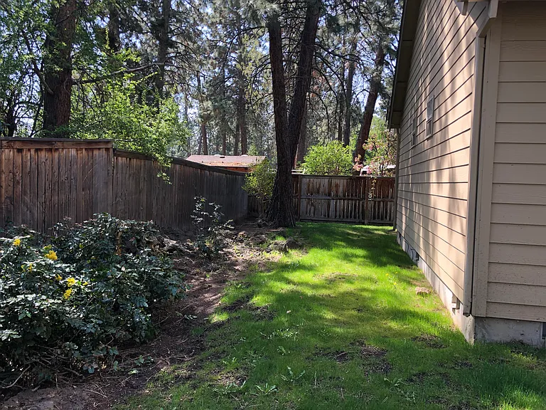 19851 Hollygrape St #2 — Photo 22