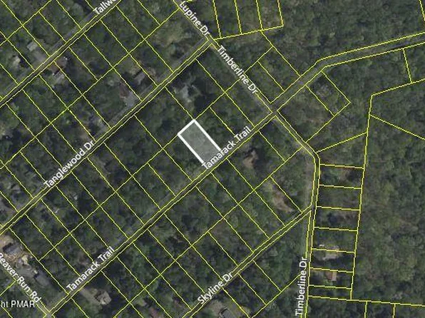 C45hf Tamarack Trl, Albrightsville, PA 18210