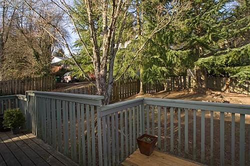 Backyard view from back deck