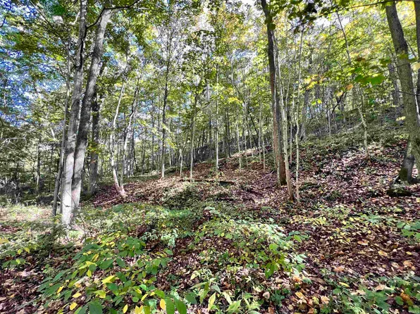 8143 W Coal Hollow Rd, Williamsport, IN 47993
