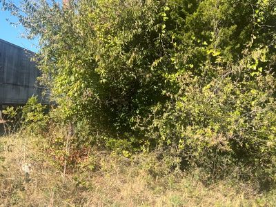 N/a Charles Ave, Midlothian, TX, 76065