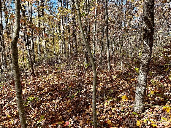 4th image of 0 Owle View Rd #30