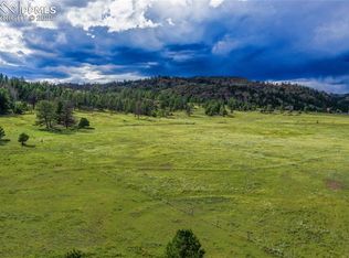 Spring Valley Dr, Florissant, CO 80816