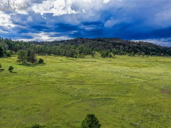 Spring Valley Dr, Florissant, CO 80816