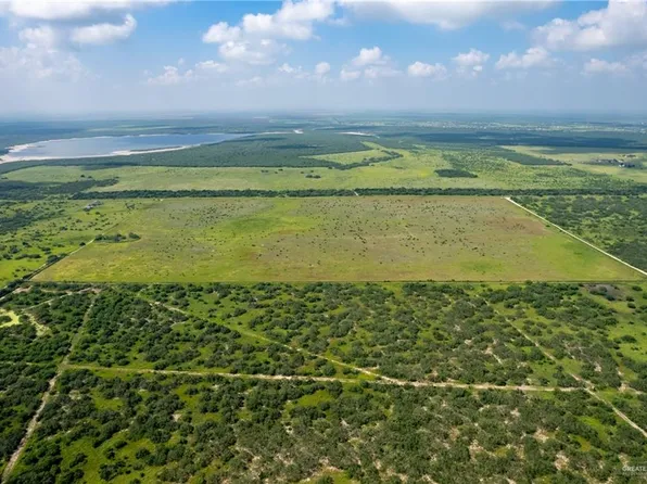 0 Rucio Rd, Linn, TX 78563