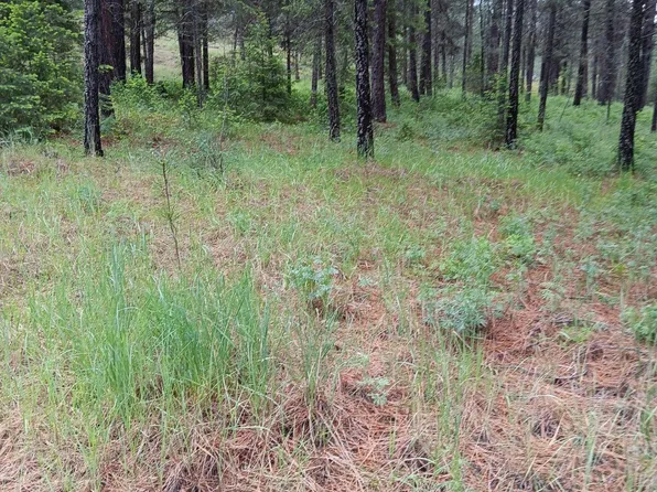 Sand Creek Rd, Kettle Falls, WA 99141