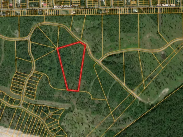 6 Eagle Dr, Trinity, TX 75862