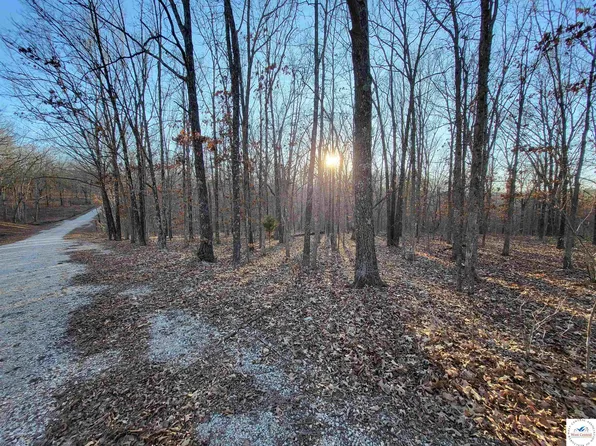 Wenzel Pl, Edwards, MO 65326