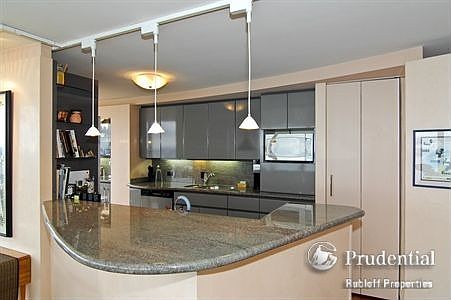 4th image of 505 N Lake Shore Dr APT 6310