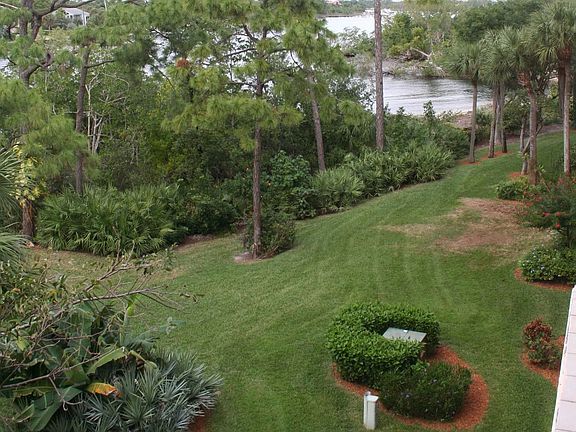 View from Living Room