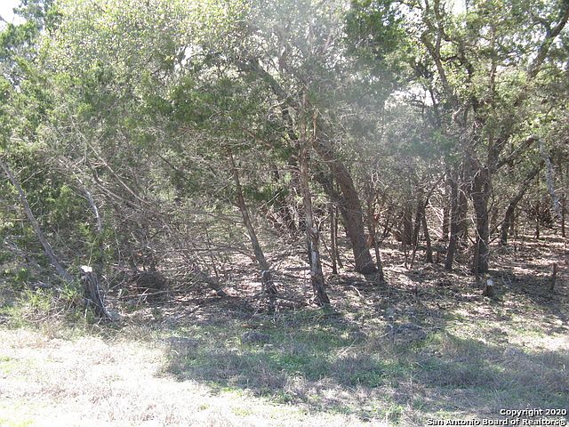2nd image of 155 Whitetail Run