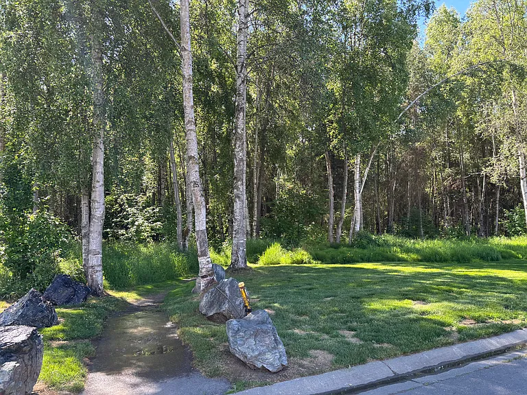7157 Fairweather Park Loop — Photo 18