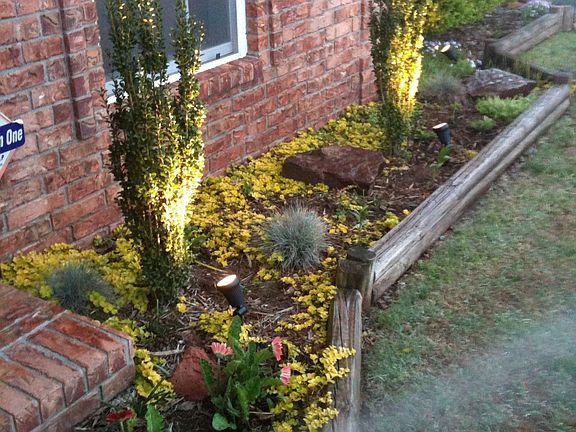 Flower bed