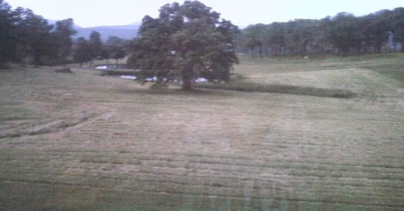 View of pond from top floor