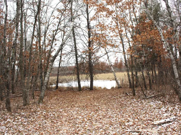 Timberlane Rd, Staples, MN 56479