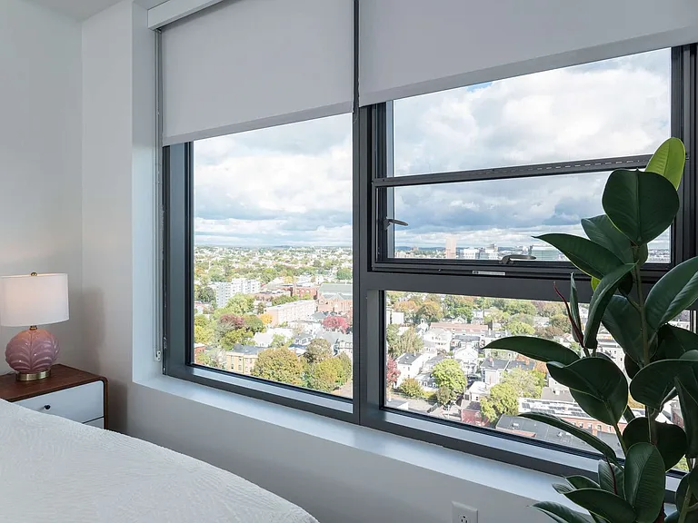 Window View