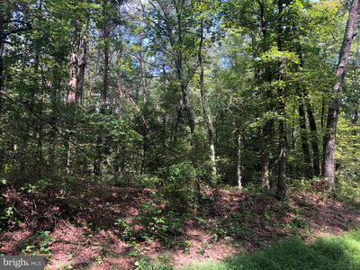 3731 Summit Crossing Rd, Fredericksburg, VA, 22408