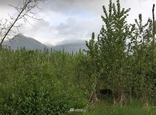 0 Peters Rd, Randle, WA 98377