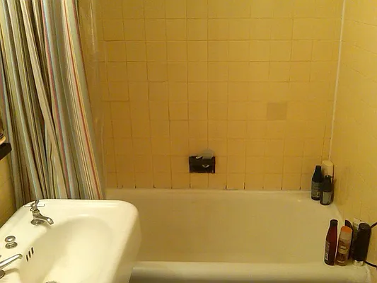 Rented by Alta Real Estate | media 23