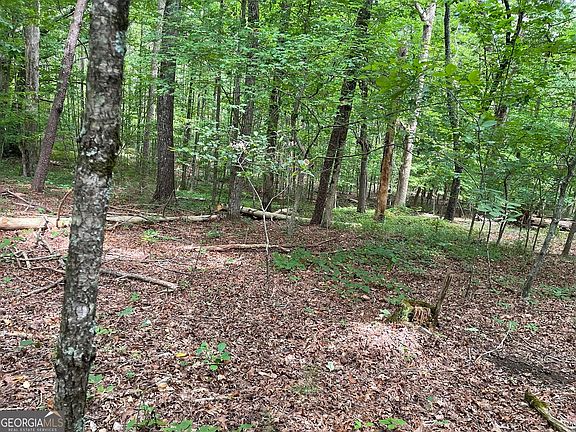 5th image of 16 Calhoun Rd